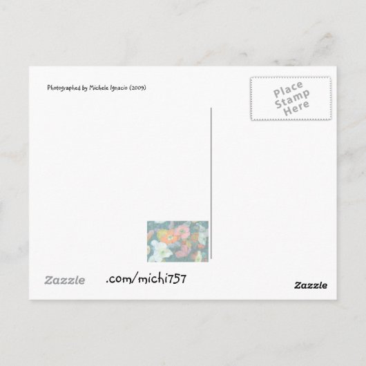 Lentbloemen Briefkaart (Achterkant)