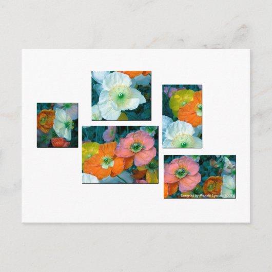 Lentbloemen Briefkaart (Voorkant)