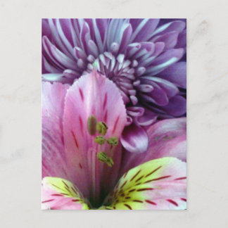 Lentbloemen Briefkaart