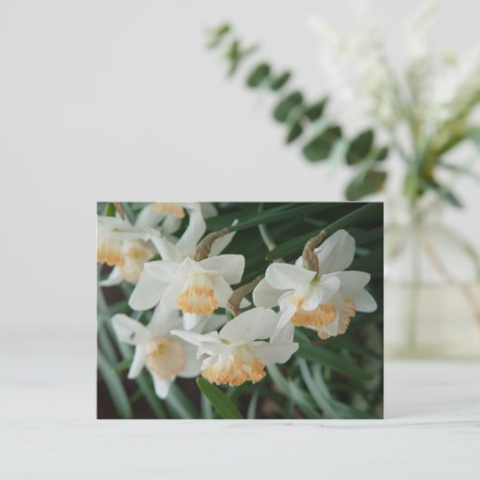 Lentbloemen Briefkaart (Staand voorkant)