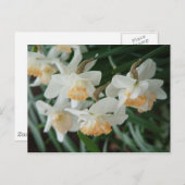 Lentbloemen Briefkaart (Voorkant / Achterkant)