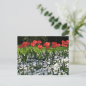 Lentbloemen Briefkaart (Staand voorkant)