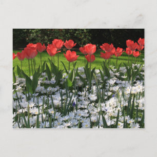 Lentbloemen Briefkaart