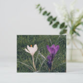 Lentbloemen Briefkaart (Staand voorkant)
