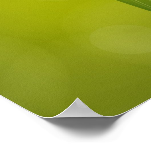 Lentbloemen Gele deffodis Poster (Hoek)