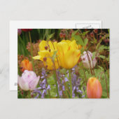 Lentbloemen in Briefkaart (Voorkant / Achterkant)