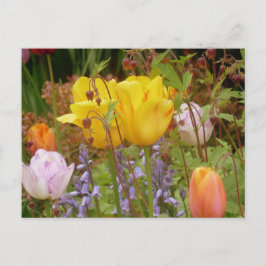 Lentbloemen in Briefkaart