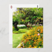 Lentbloemen in Funchal, Madeira (Portugal) Briefkaart (Voorkant / Achterkant)