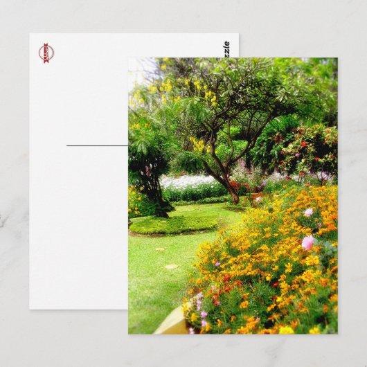 Lentbloemen in Funchal, Madeira (Portugal) Briefkaart (Voorkant / Achterkant)