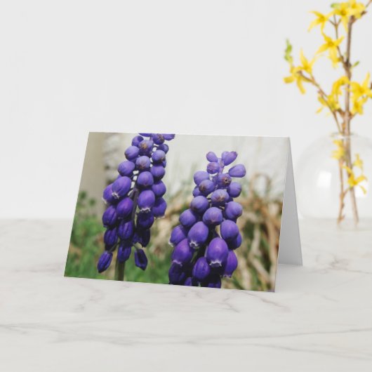 Lentbloemen Kaart (Gele Bloem)