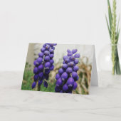 Lentbloemen Kaart (Voorkant)