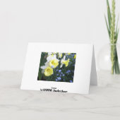 Lentbloemen Kaart (Achterkant)