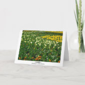 Lentbloemen Kaart (Achterkant)