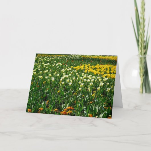 Lentbloemen Kaart (Voorkant)