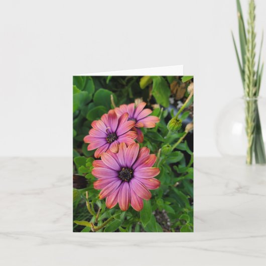 Lentbloemen Kaart (Voorkant)