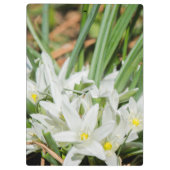 Lentbloemen Klembord (Achterkant)
