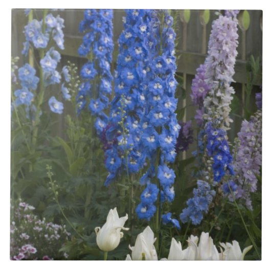 Lentbloemen langs een tuinpad, Georgia 2 Tegeltje (Voorkant)