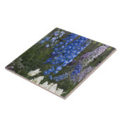 Lentbloemen langs een tuinpad, Georgia 2 Tegeltje (Zijkant)