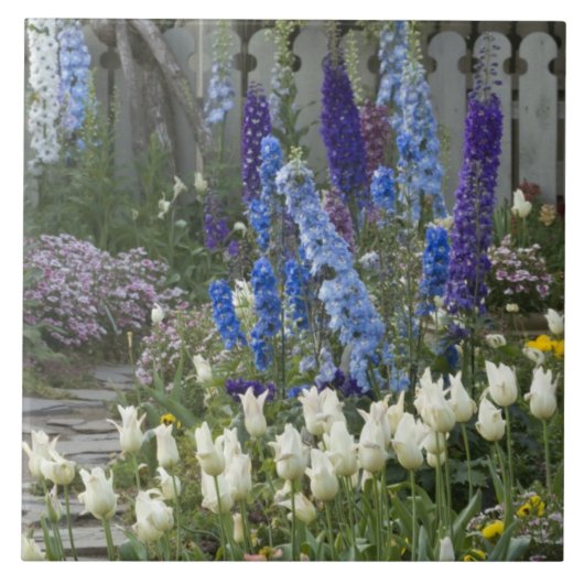 Lentbloemen langs een tuinpad, Georgia Tegeltje (Voorkant)