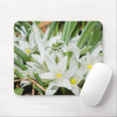 Lentbloemen Muismat (Met muis)