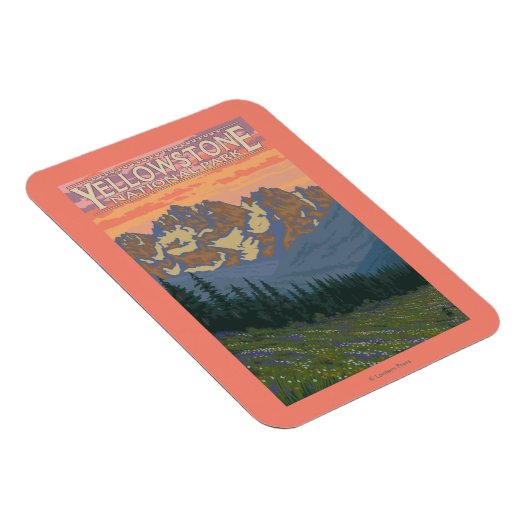 Lentbloemen - Nationaal Park van geelsteen Magneet (Rechterzijde)