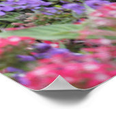 Lentbloemen Poster (Hoek)