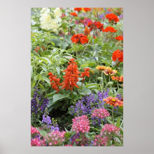 Lentbloemen Poster (Voorkant)