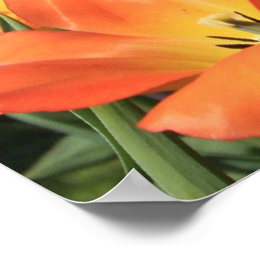 Lentbloemen Poster (Hoek)