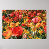 Lentbloemen Poster (Voorkant)