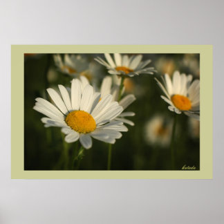 Lentbloemen Poster