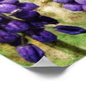 Lentbloemen Poster (Hoek)