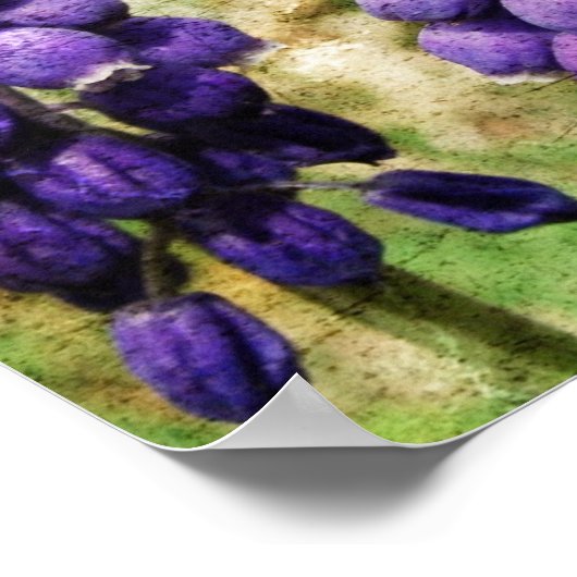 Lentbloemen Poster (Hoek)