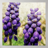 Lentbloemen Poster (Voorkant)