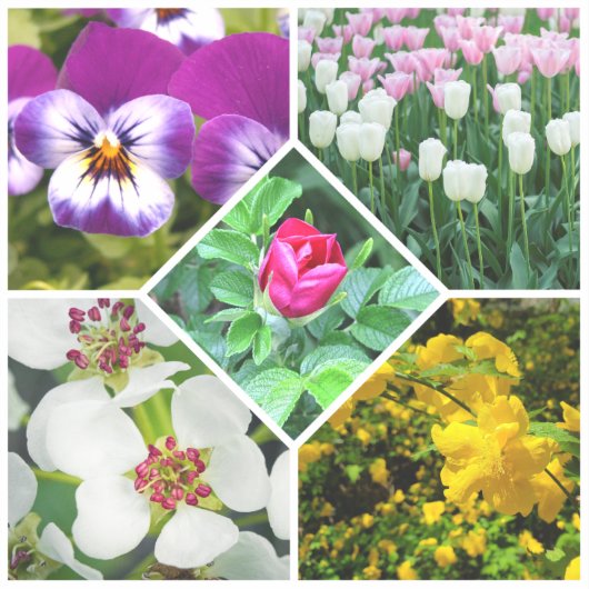 Lentbloemen Sticker (Voorkant)