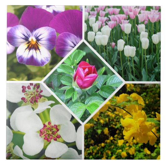 Lentbloemen Tegeltje (Voorkant)