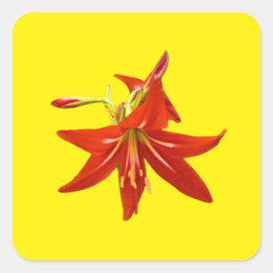 Lentbloemen Vierkante Sticker