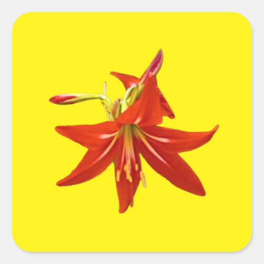 Lentbloemen Vierkante Sticker (Voorkant)