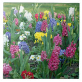 Lentbloemen, weide tegeltje (Voorkant)