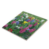 Lentbloemen, weide tegeltje (Zijkant)