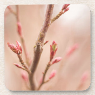 Lentdromen kurkonderzetters bier onderzetter