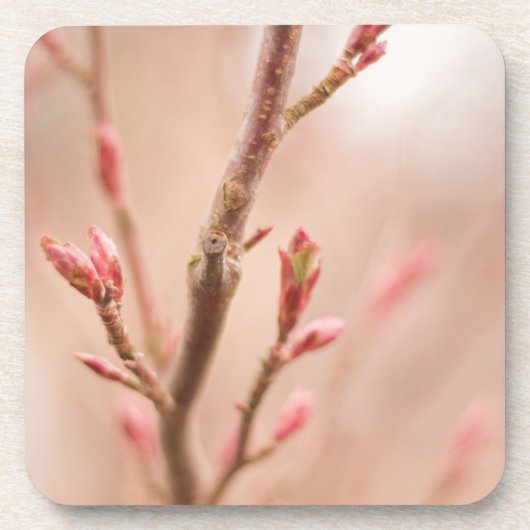 Lentdromen kurkonderzetters bier onderzetter (Voorkant)