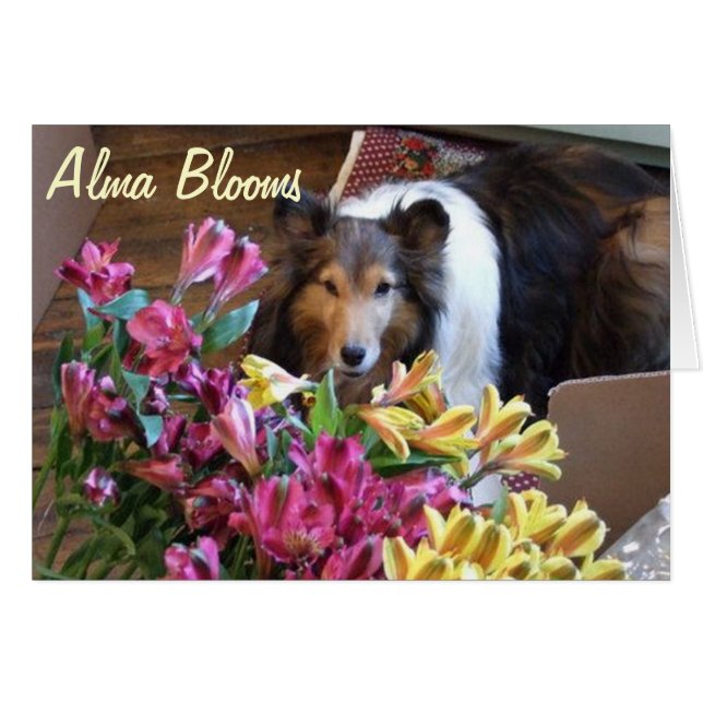 lente (Voorkant Horizontaal)