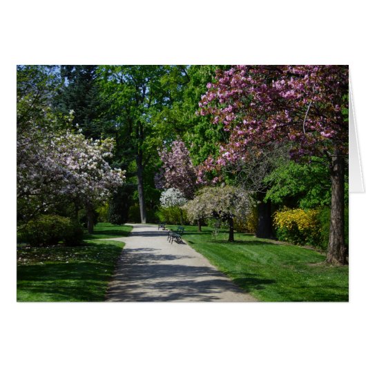 lente (Voorkant Horizontaal)