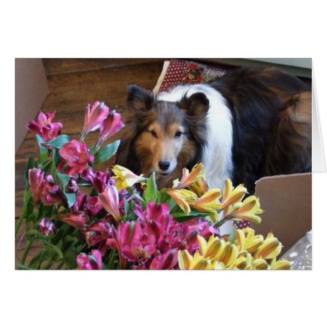 lente (Voorkant Horizontaal)