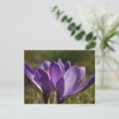 lente achteraan briefkaart (Staand voorkant)