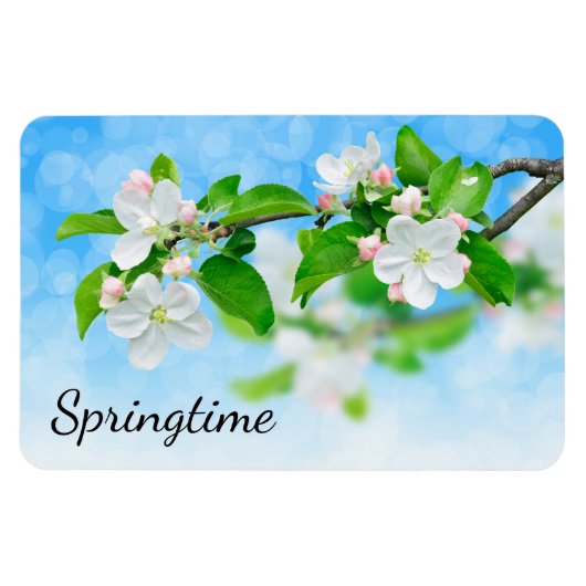 Lente (appelbloemen) magneet (Horizontaal)