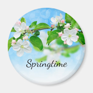 Lente (appelbloemen) magneet