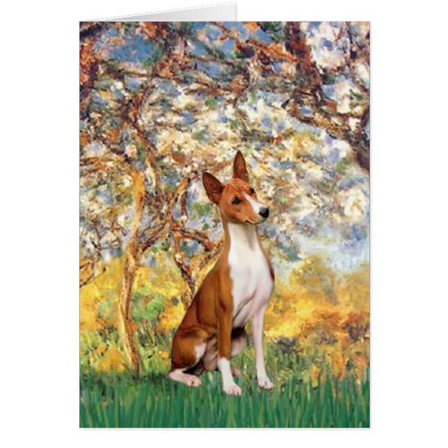 Lente - Basenji (Voorkant)