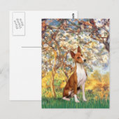 Lente - Basenji Briefkaart (Voorkant / Achterkant)