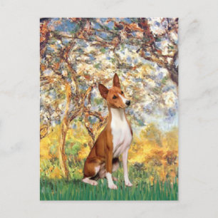 Lente - Basenji Briefkaart